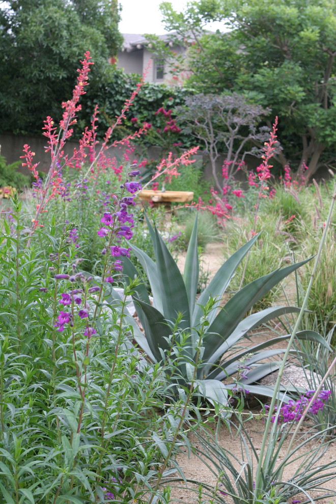 Design ideas for an expansive mediterranean side yard full sun xeriscape in Los Angeles.