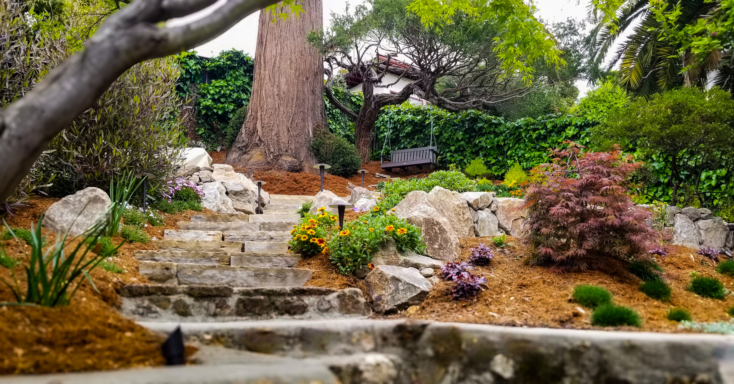 Terraced Design for Play and Perspective