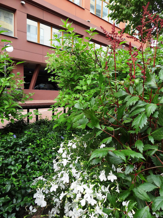 Парк ДК Новоспасский