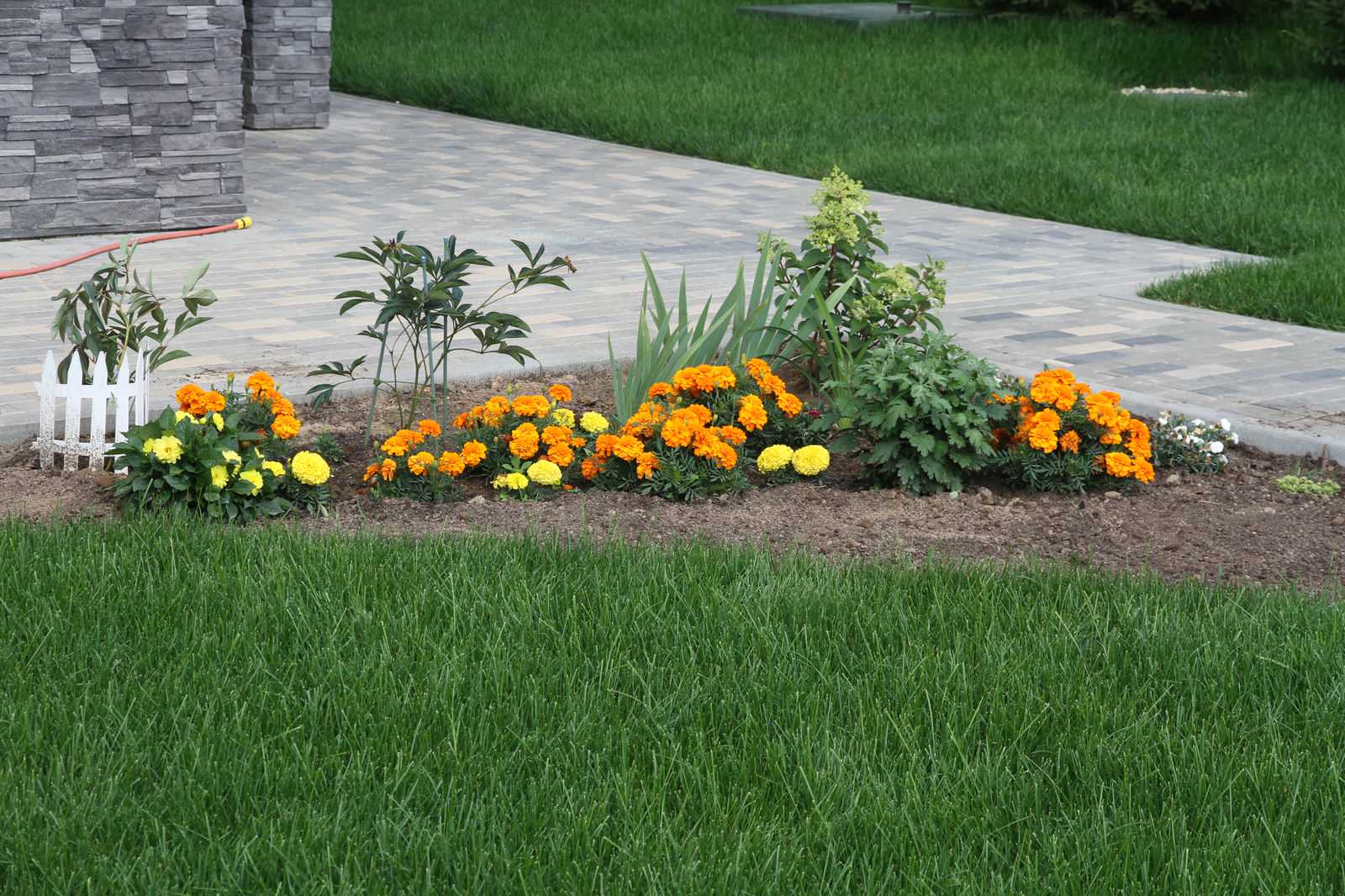 Участок 25 соток, КП Четыре Сезона. От проекта до реализации