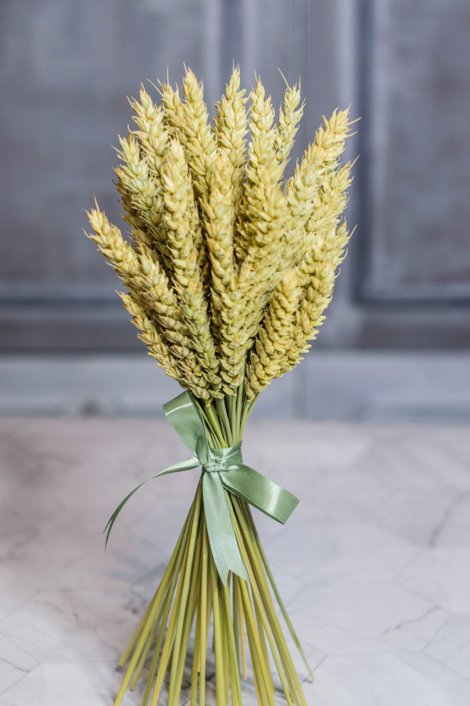 Коллекция Lago