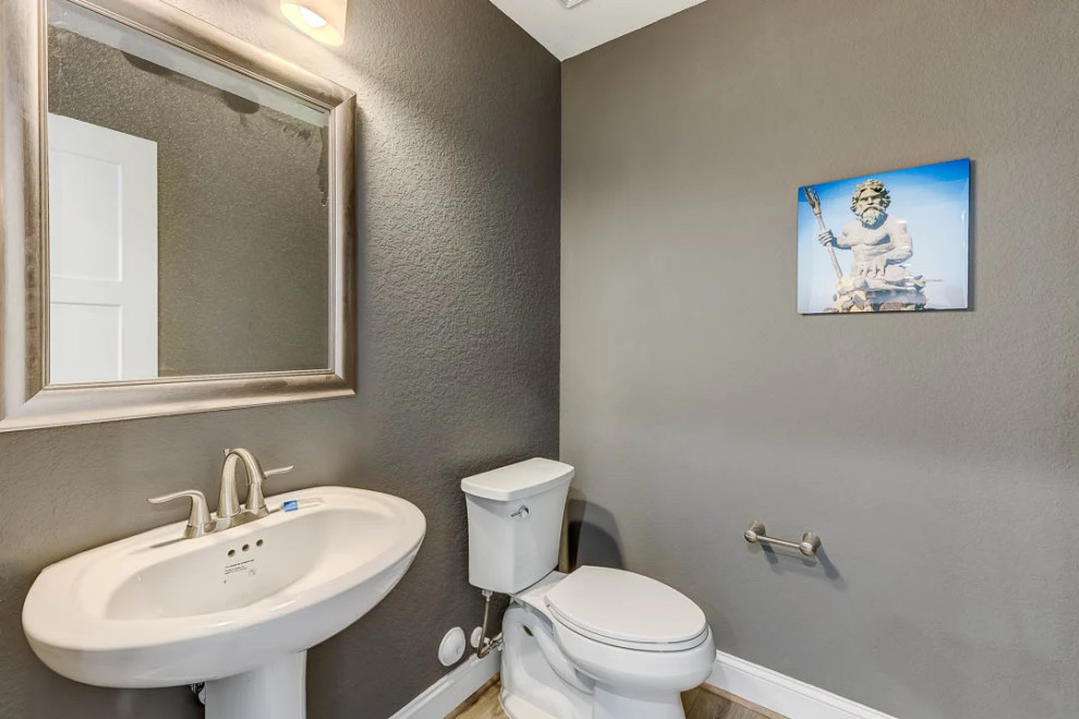 Dolphin Watch (2023)