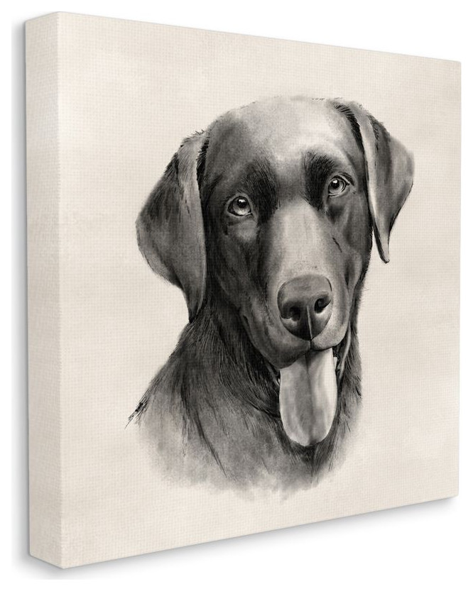 Vintage Sepia Tone Black Labrador Dog Portrait, 24 x 24 - Contemporary ...