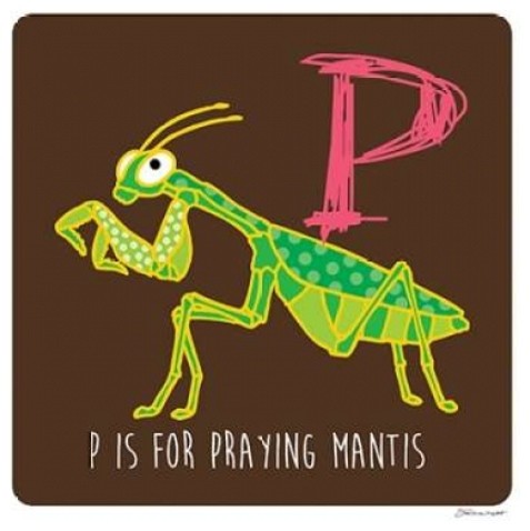 P is For Praying Mantis Print