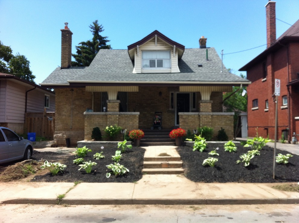 Landscape Ideas for filler