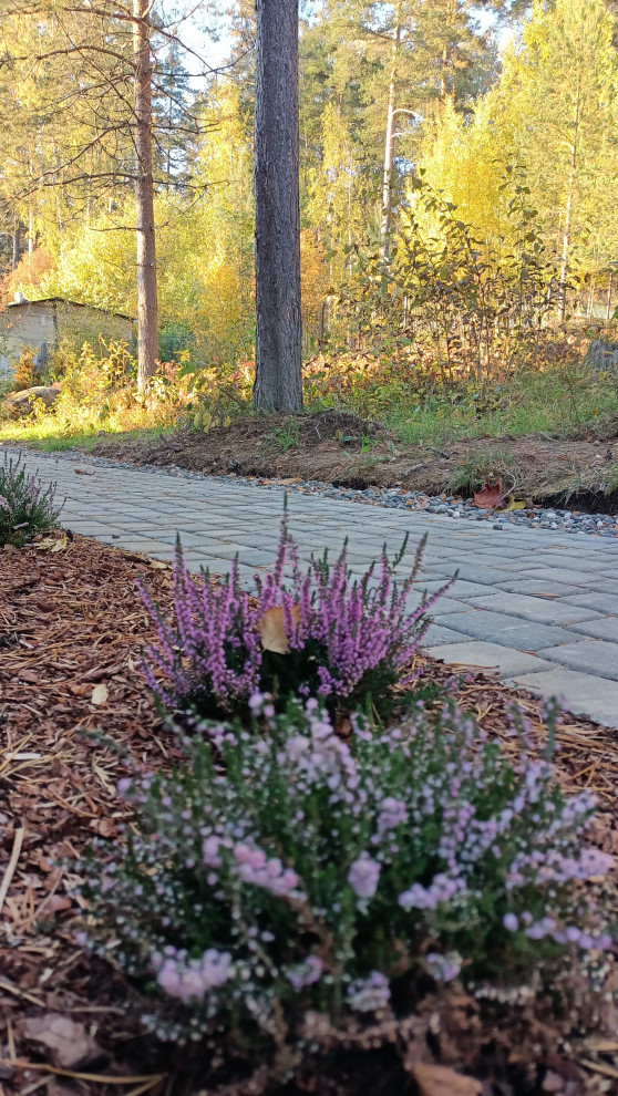 Лесная сказка в Мичуринском