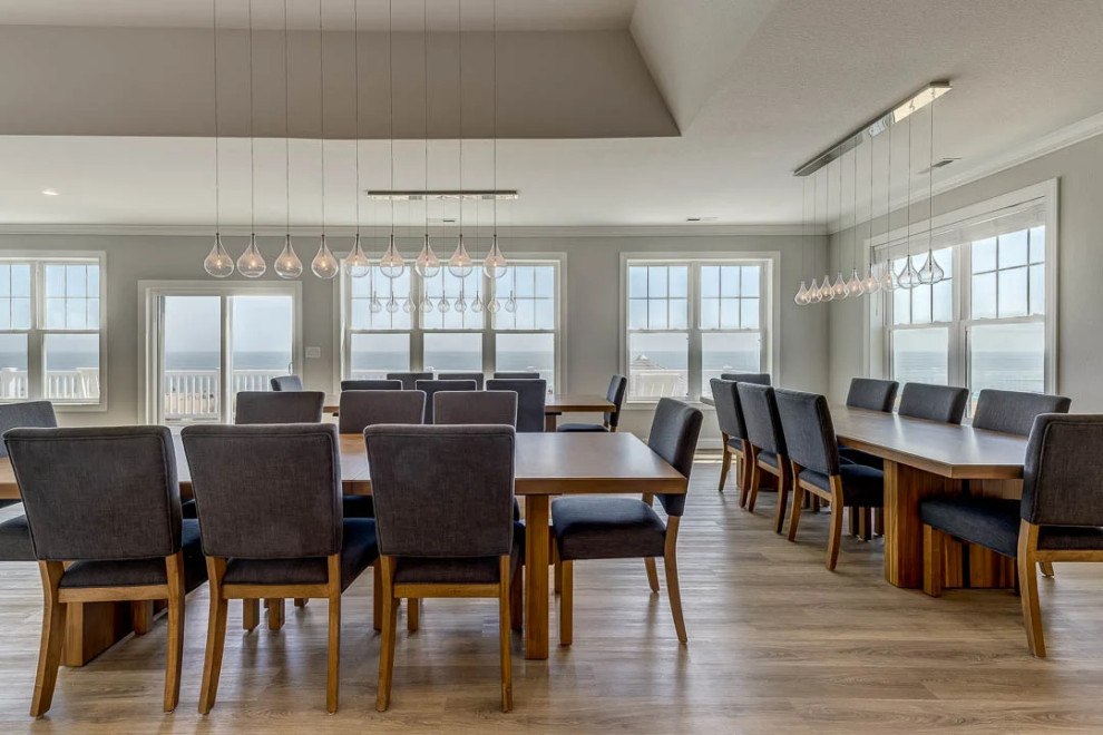 Dolphin Watch (2023)