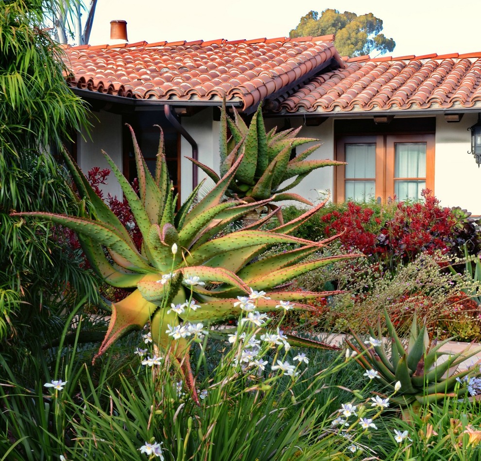 Photo of an expansive mediterranean front yard garden in San Diego with a garden path and natural stone pavers.