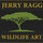Jerry Ragg Wildlife Art
