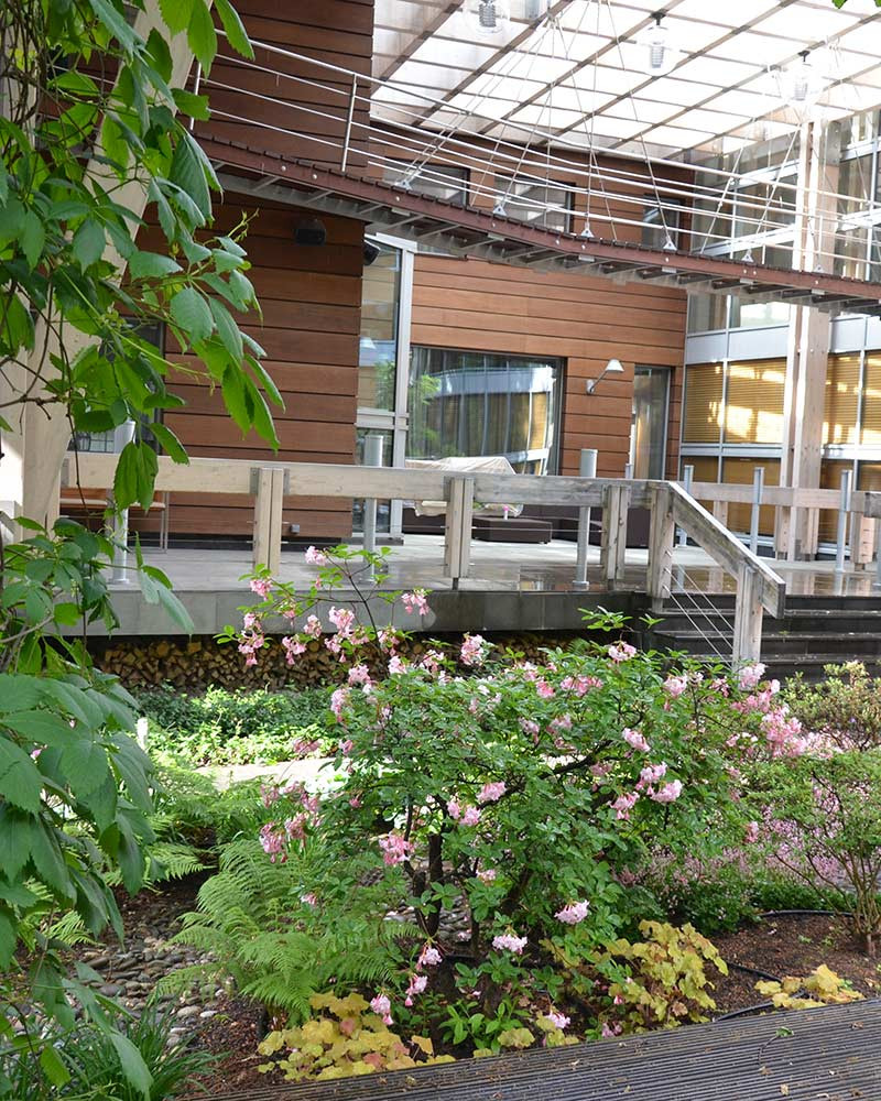 Сад с японским характером в  КП Ландшафт