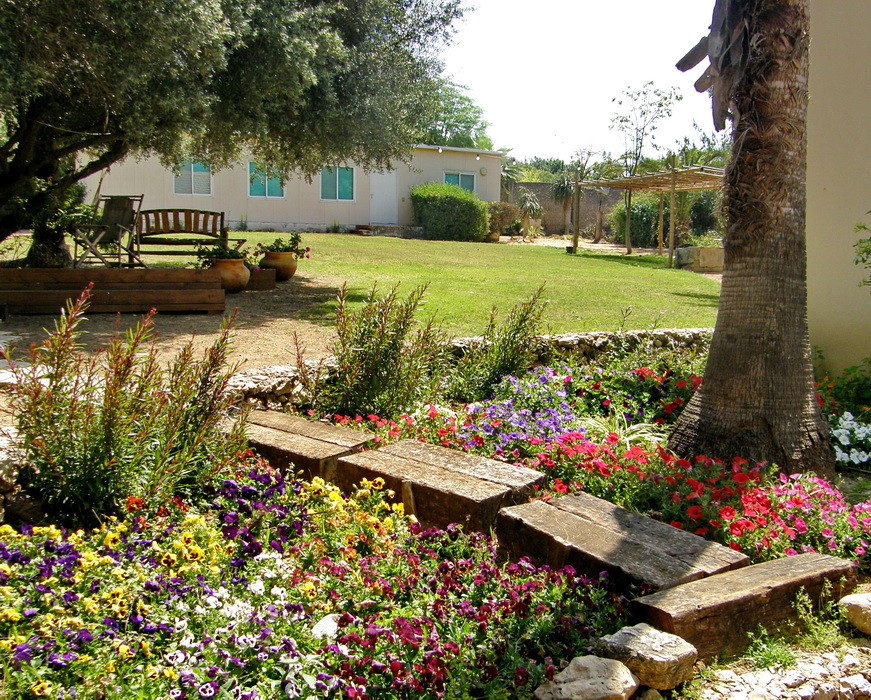 Photo of a mediterranean garden in Tel Aviv.
