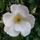 marissa_anderson77