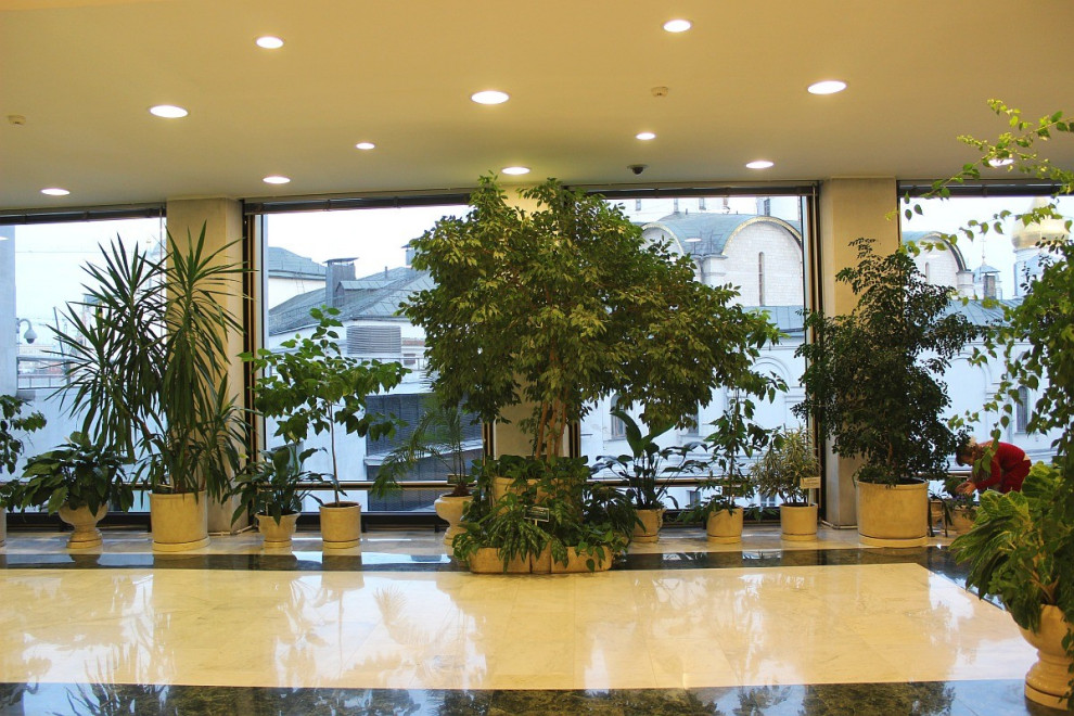 Зимний сад в "Государственном Кремлевском дворце"