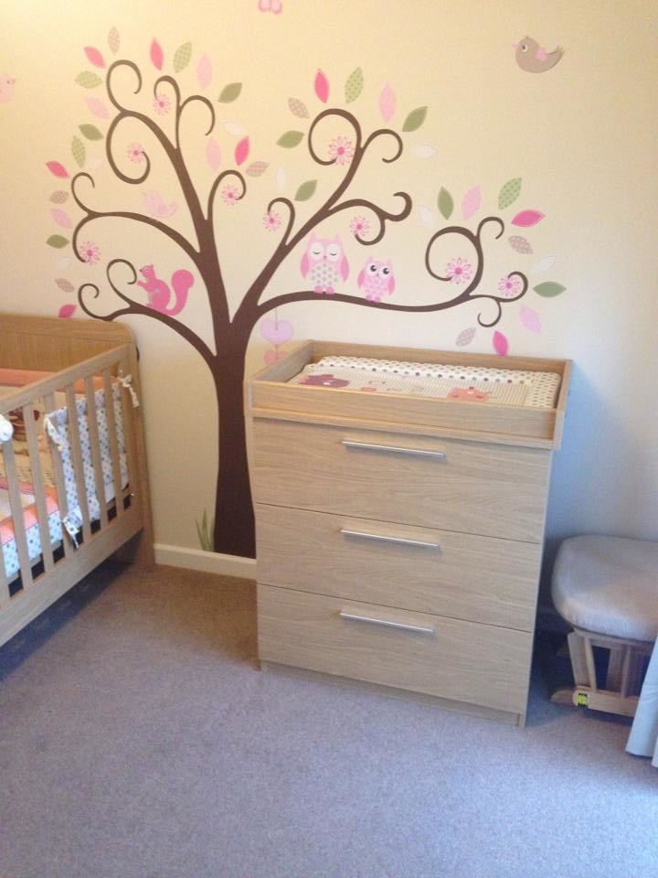 Photo of a large modern nursery in Dorset.