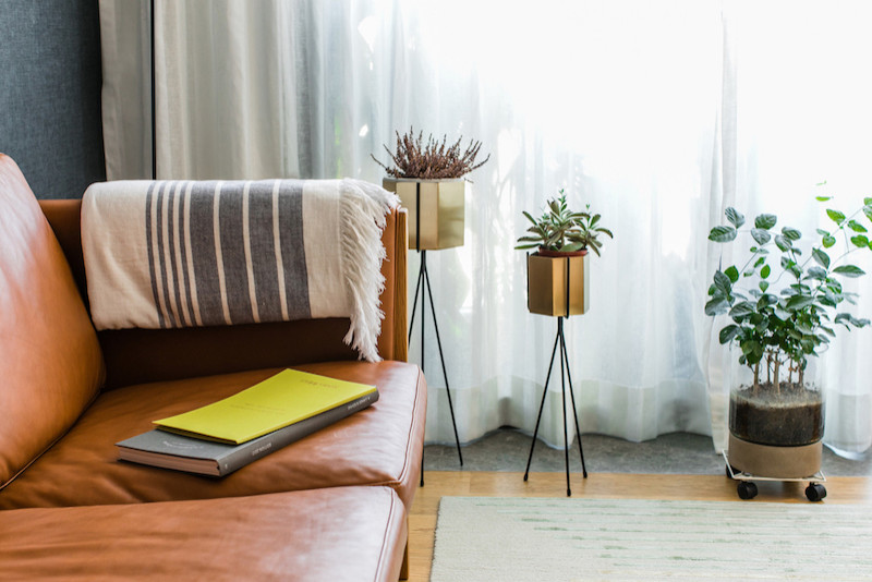 Photo of a small modern formal open plan living room in Hong Kong with multi-coloured walls, medium hardwood flooring, no fireplace, no tv and brown floors.