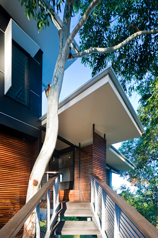 Inspiration for a contemporary entryway in Sunshine Coast.