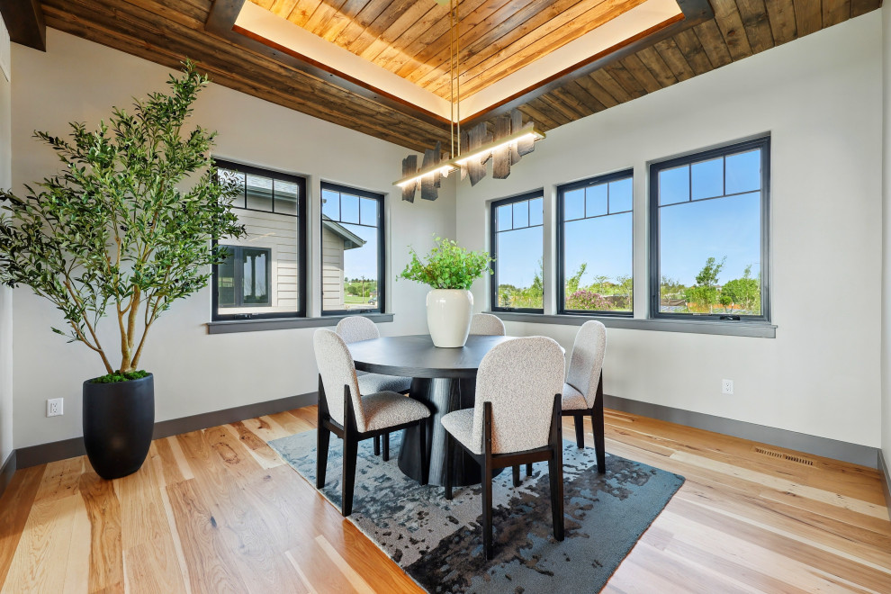 Dining room - transitional dining room idea in Denver