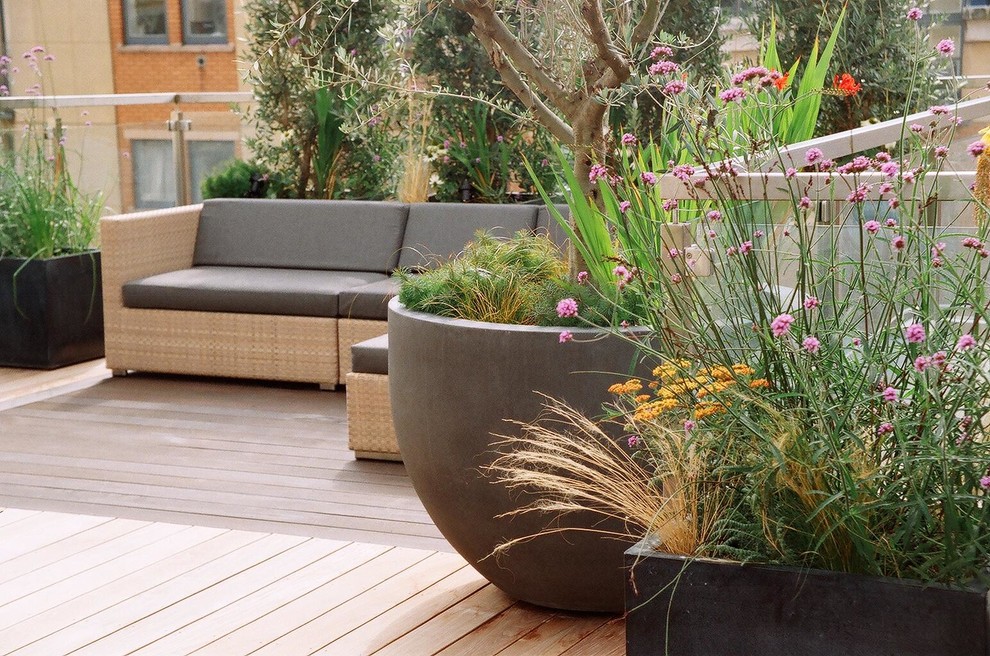 Design ideas for a large contemporary rooftop deck in London with a container garden and a pergola.