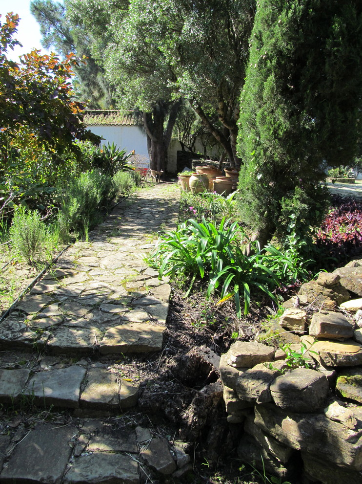 This is an example of a mediterranean garden in Other.