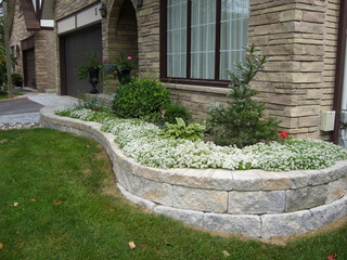 Front Yard Landscaping Ideas - Contemporary - Landscape - Minneapolis