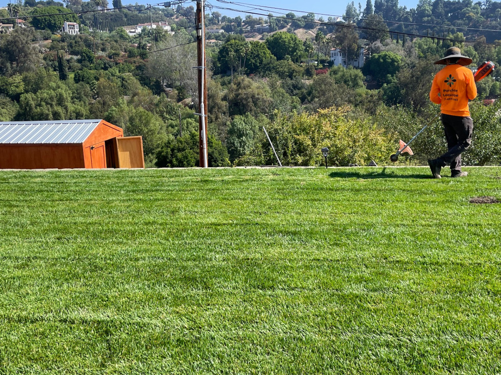 Fresh Front Yard with Irrigation