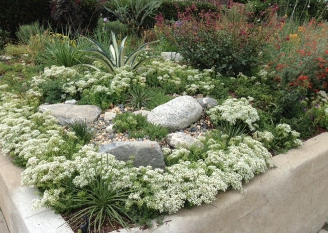 This is an example of a mid-sized arts and crafts front yard full sun xeriscape in Los Angeles with mulch.