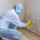 Mold Experts of Good Fortune
