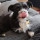 alanp_french