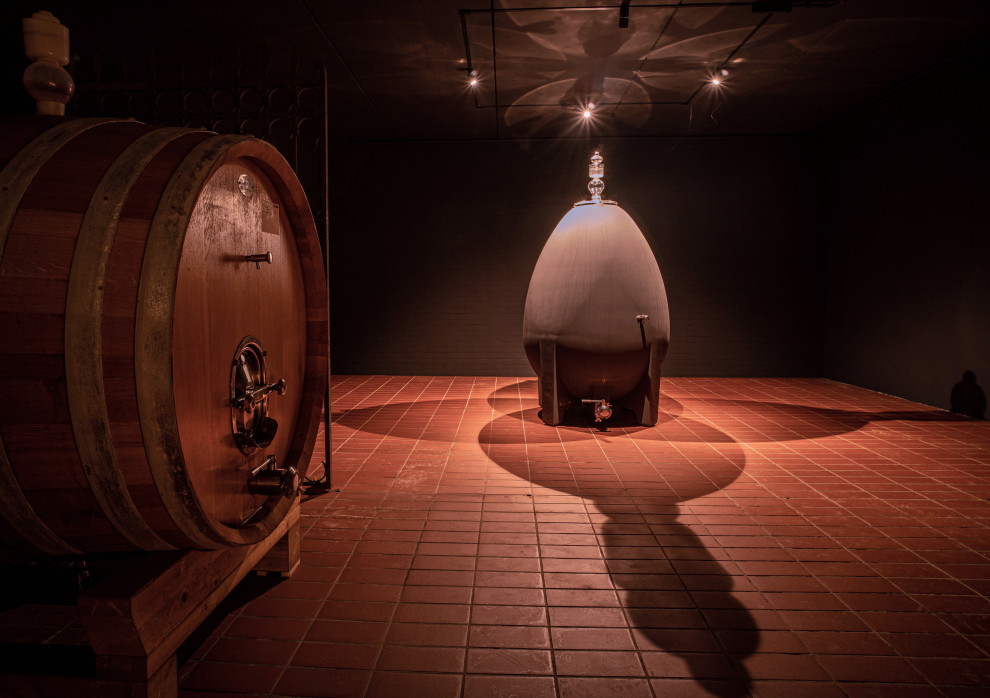 Idées déco pour une grande cave à vin moderne avec tomettes au sol, un présentoir et un sol orange.