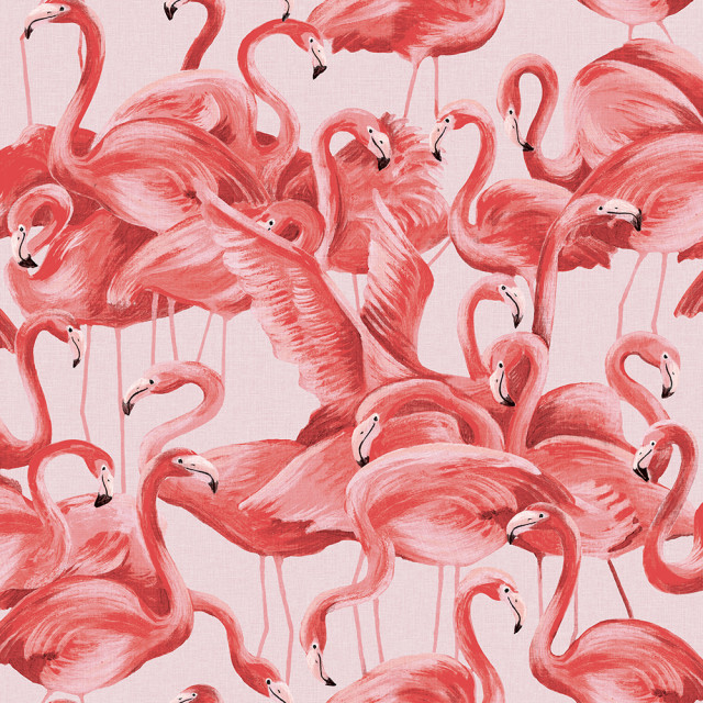 Flamingo Peel and Stick Wallpaper - Tropical - Wallpaper - by Tempaper