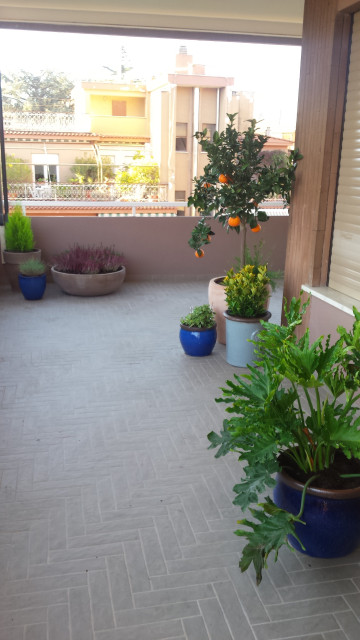 Terrazzo  Coviello shabby-chic-style-deck