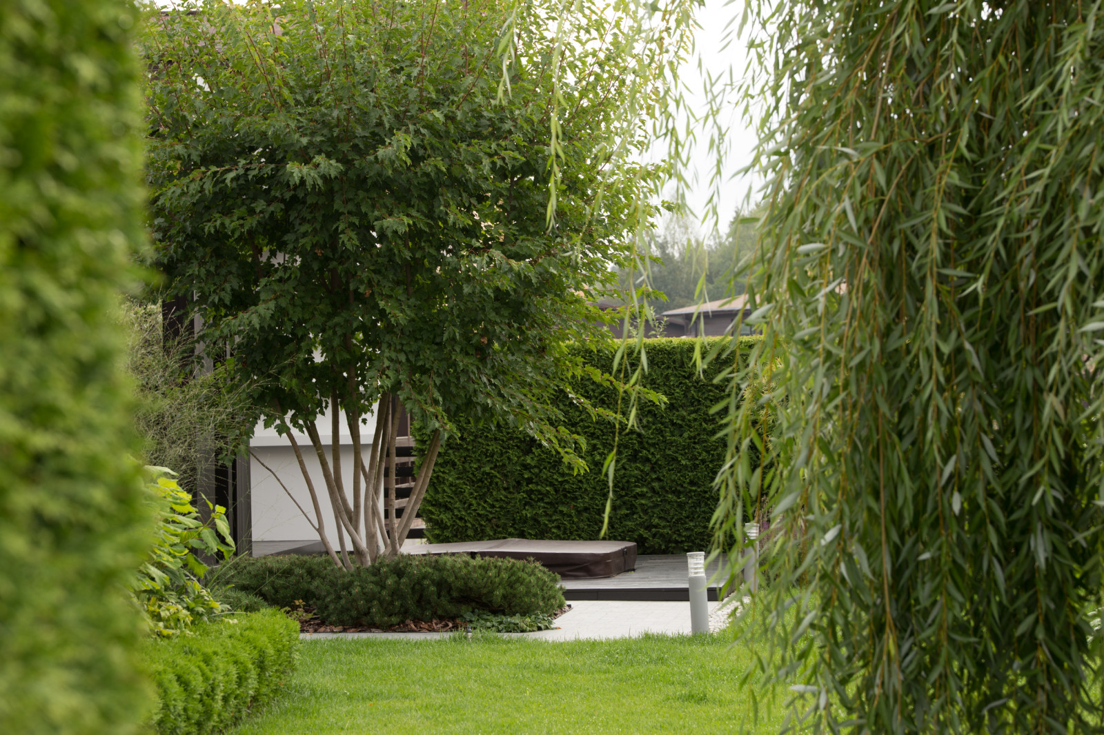 Светлогорье лето 2016