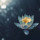 webuser_844426110
