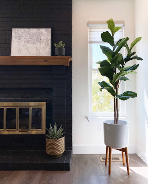 Orr Kitchen & Living | Highlands Ranch, CO | Contemporary Rebirth Renovation