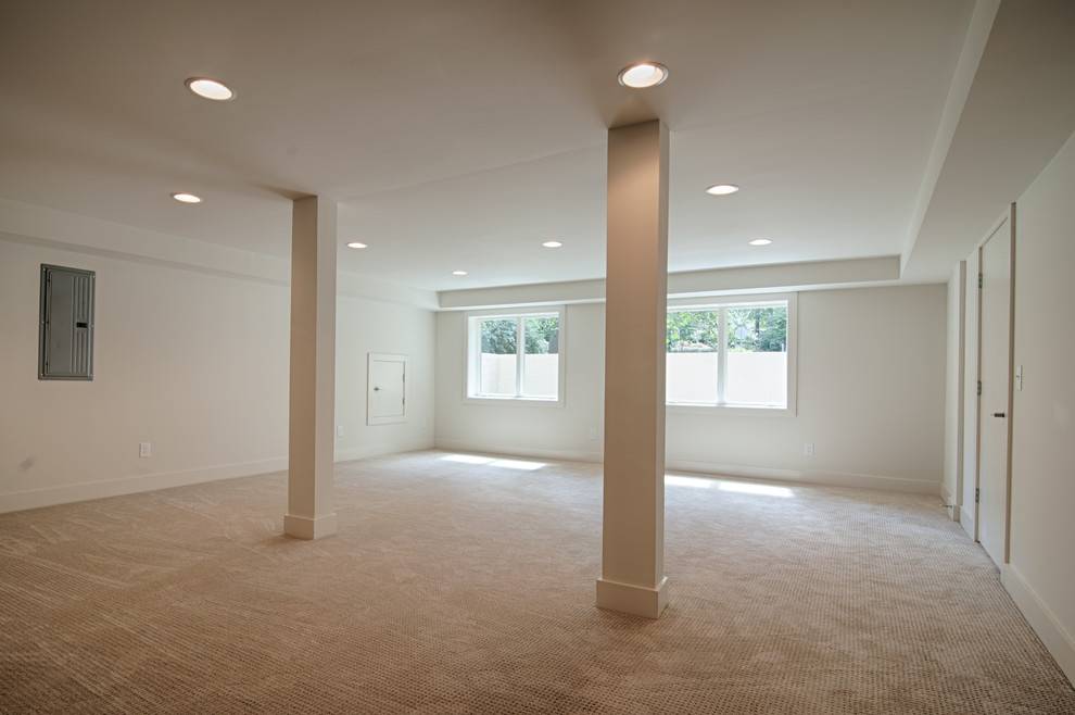 Modern basement in San Francisco with beige walls, carpet and no fireplace.