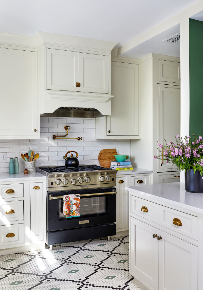 Inspiration for a kitchen remodel in DC Metro