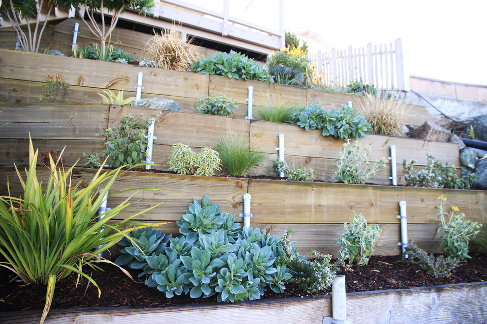 Design ideas for a traditional garden in San Luis Obispo.