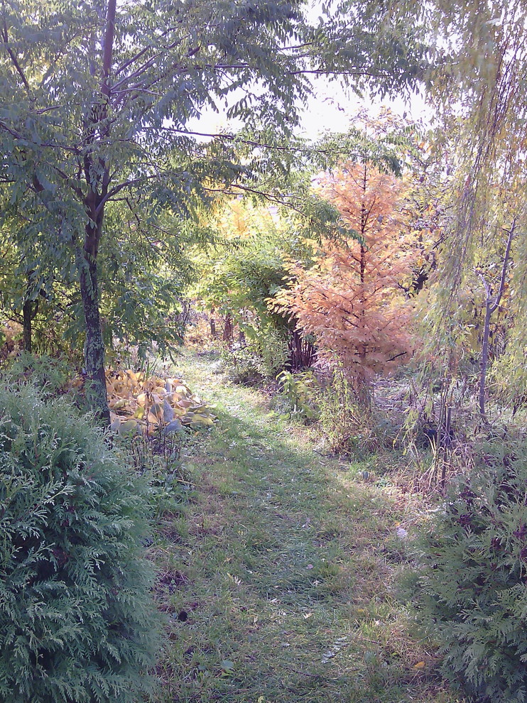 Наш собственный сад