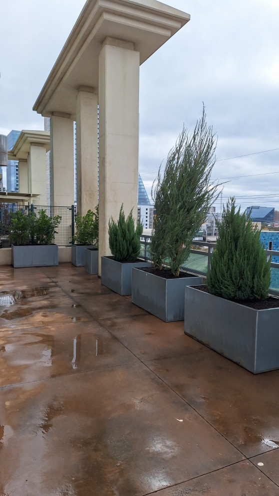 Austin Power Plants and Planting