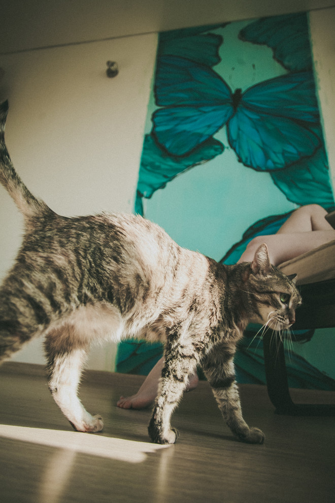 "Butterfly" in the bedroom