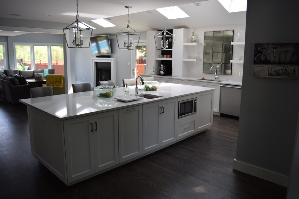 Downers Grove Kitchen Remodel