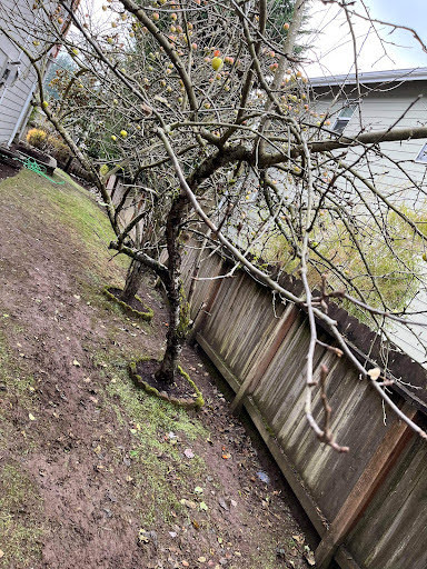 Fence Replacement