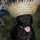 everett_sanderson