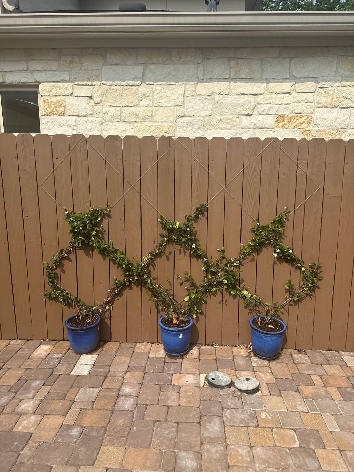 Front and Back yard makeover in Del Monte HTX