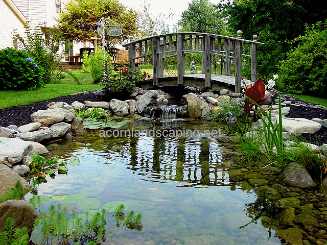 Fish Pond Wood Bridge Photos Ideas