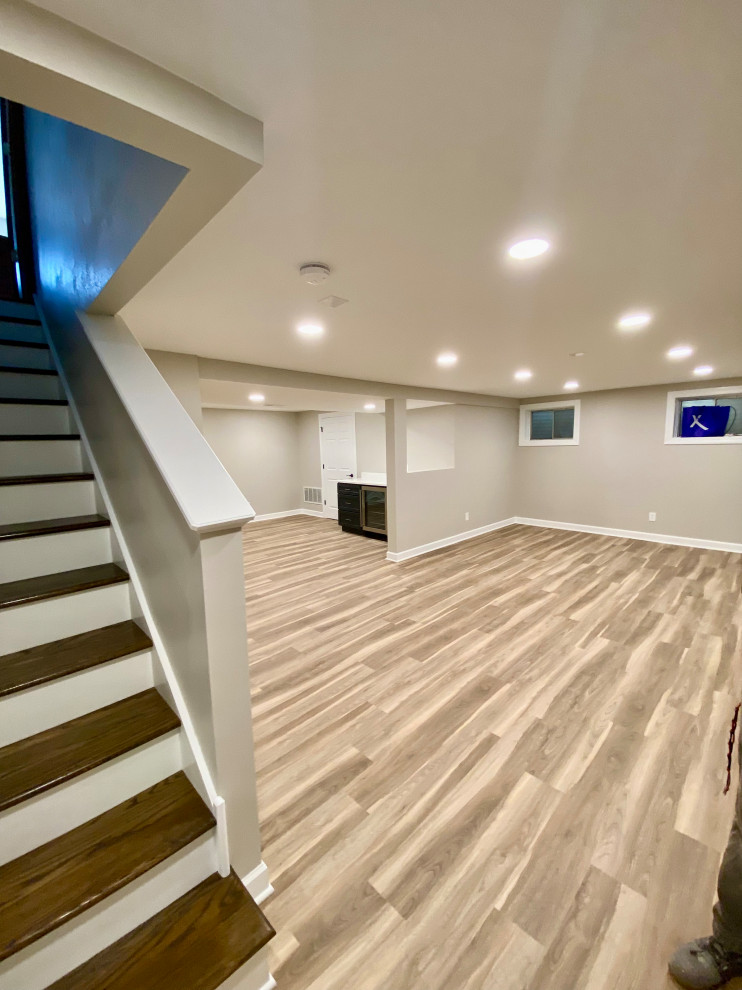 Modern Basement Remodel