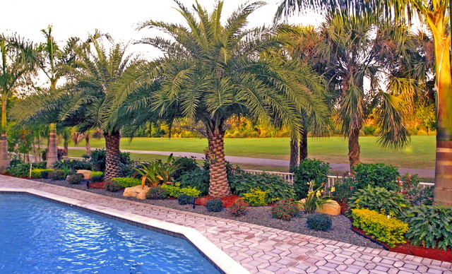 Backyard Landscape - South Florida - Tropical - Landscape ...