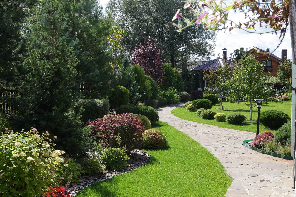 Витро Кантри 2