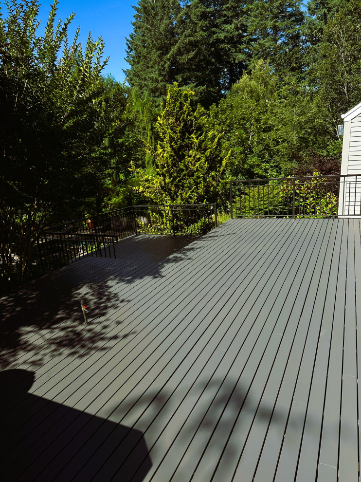 Deck Restoration