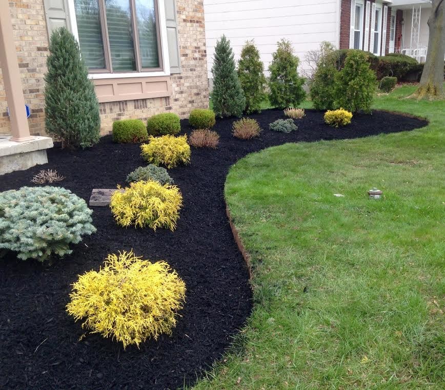 Front Yard Landscape Project in Buffalo - Traditional ...
